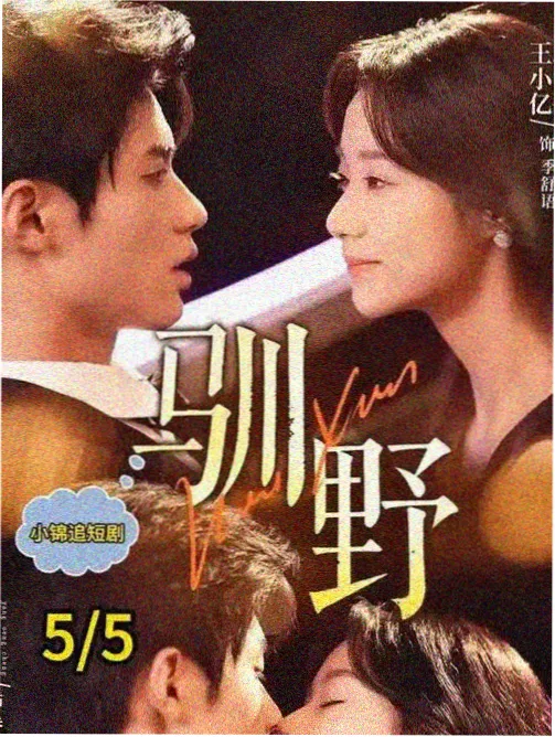 旧城十二时辰 首播影院在线观看